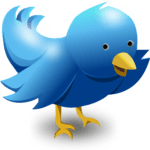 Twitter - Evade los seguidores no deseados 02