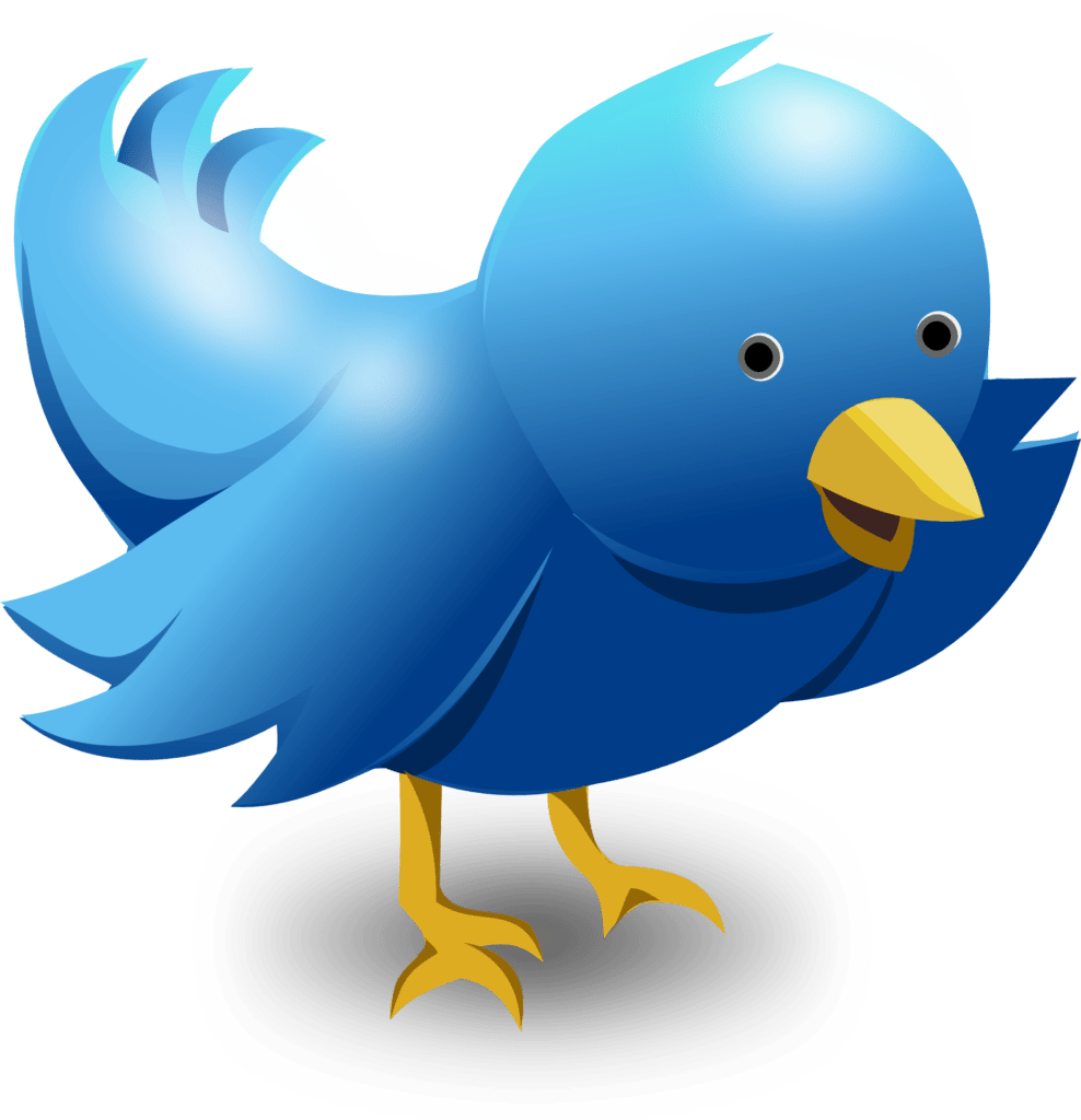 Twitter - Evade los seguidores no deseados 02